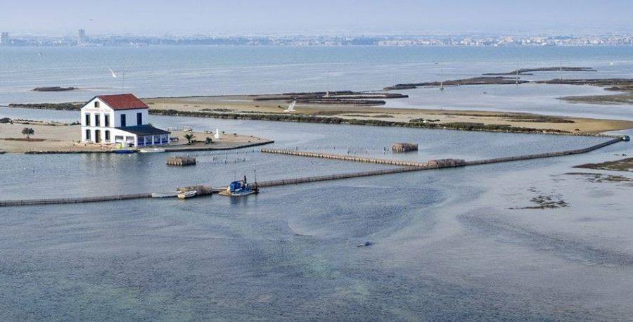 Nieuwbouw - Detached - San Pedro del Pinatar - Centro