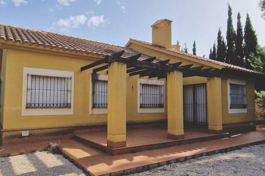 Nieuwbouw - Detached - Fuente Álamo - Las Palas