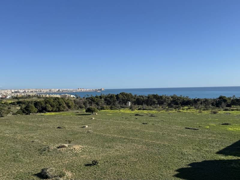 Apartamento - Reventa - Orihuela Costa - Punta Prima
