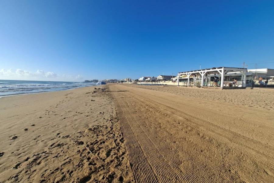 Reventa - Adosado - Torrevieja - Los Europeos