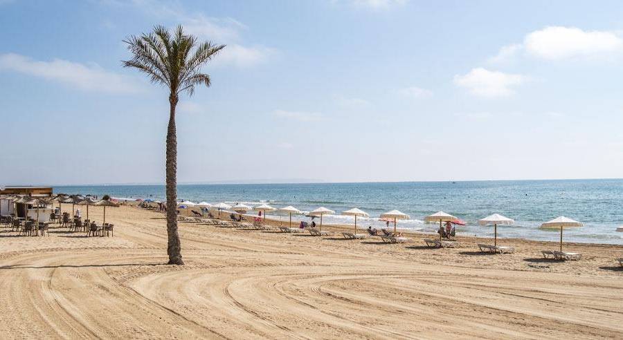 Nueva construcción  - Atico - Guardamar del Segura - Pueblo