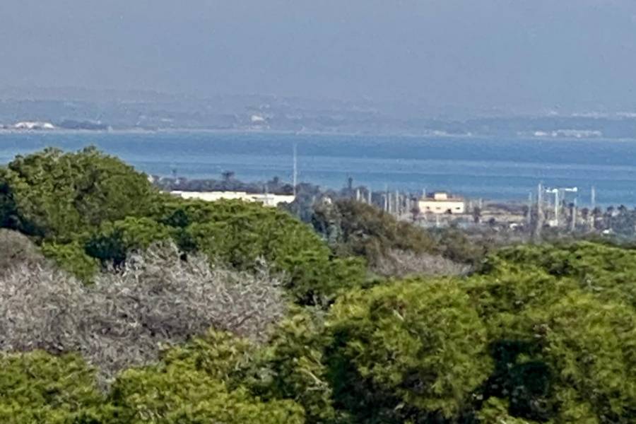Nueva construcción  - Atico - Guardamar del Segura - Centro