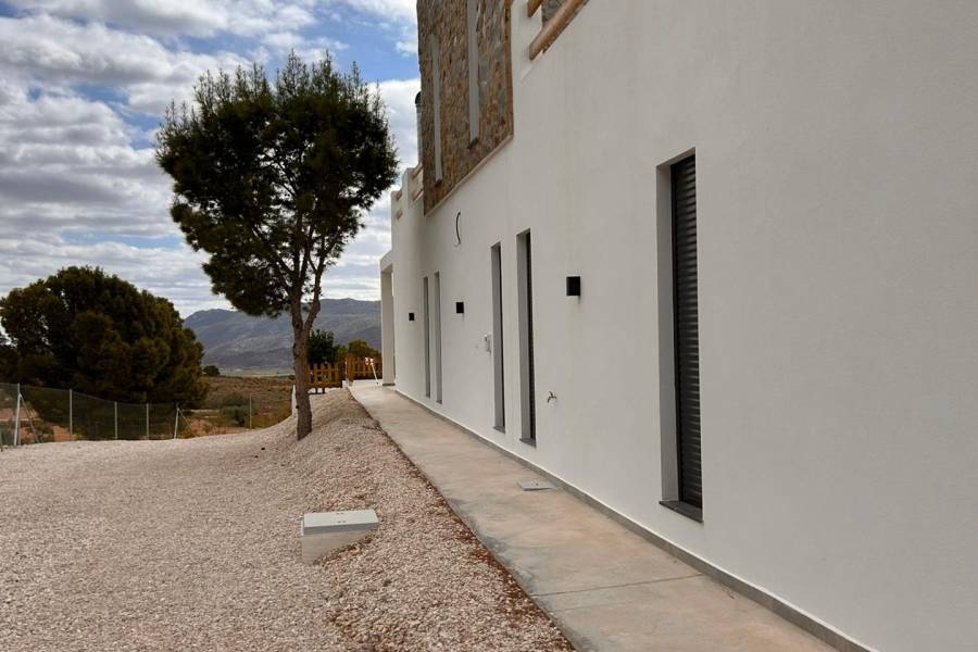 Nueva construcción  - Chalet - Pinoso - Casas Pastor