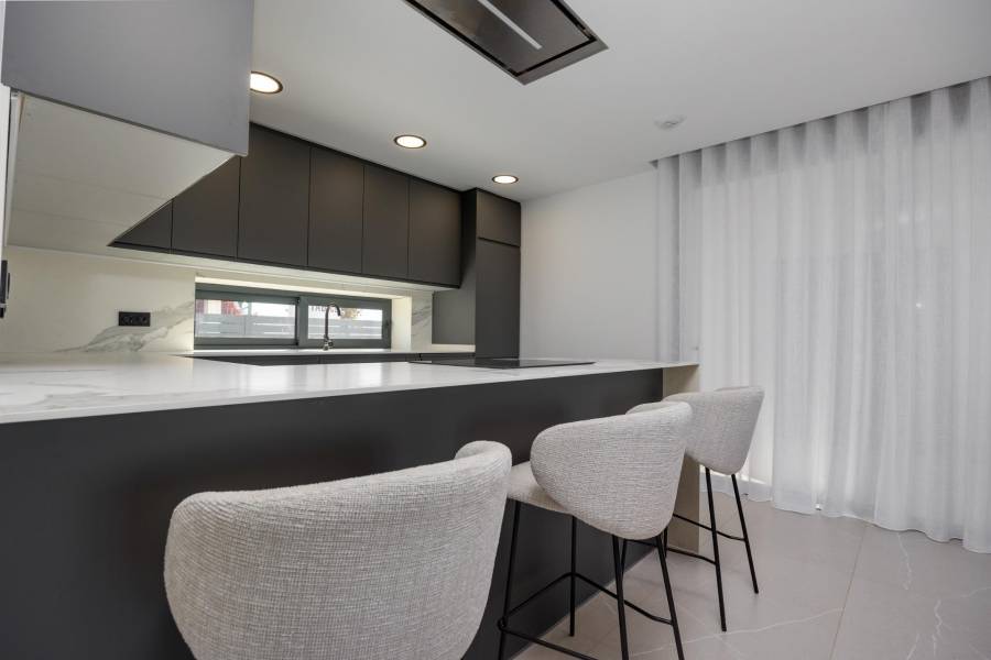 Nueva construcción  - Chalet - Torrevieja