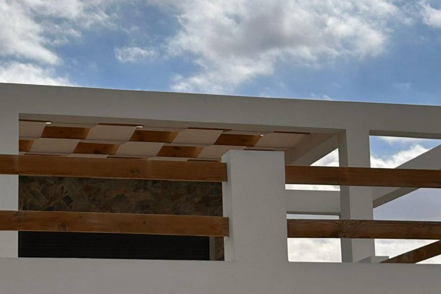 Nueva construcción  - Chalet - Pinoso - Casas Pastor