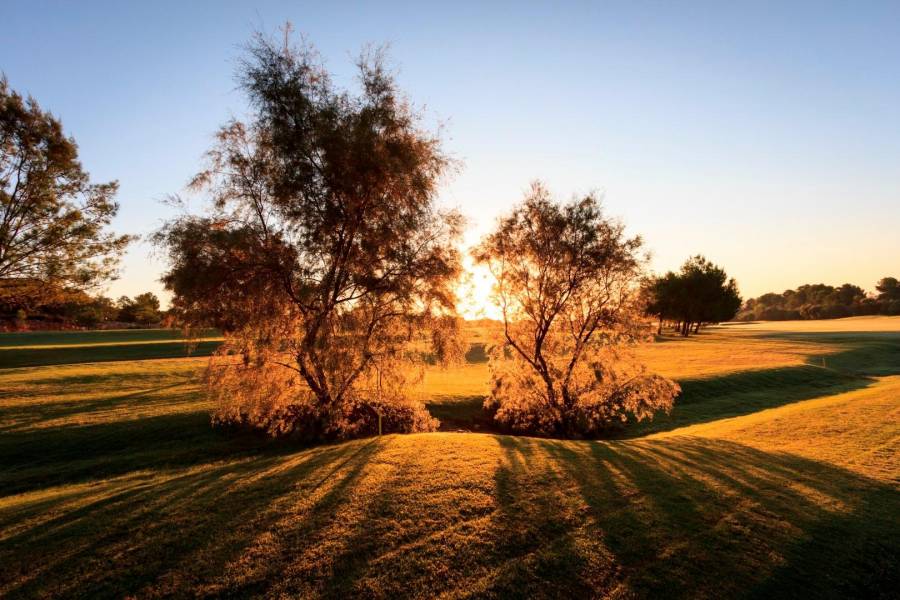 Nueva construcción  - Chalet - Pilar de la Horadada - Lo Romero Golf