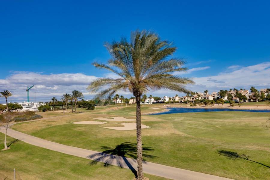 New Build - Detached - Pilar de la Horadada - Lo Romero Golf
