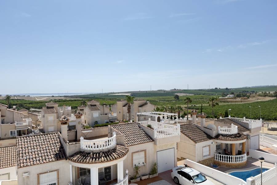 Resale - Detached - San Miguel de Salinas