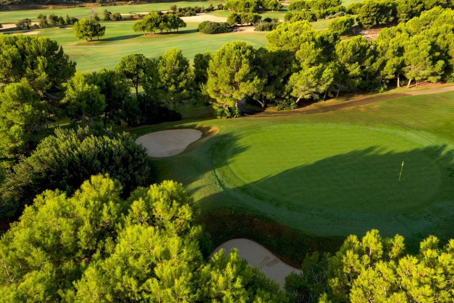 Nueva construcción  - Chalet - Pilar de la Horadada - Lo Romero Golf