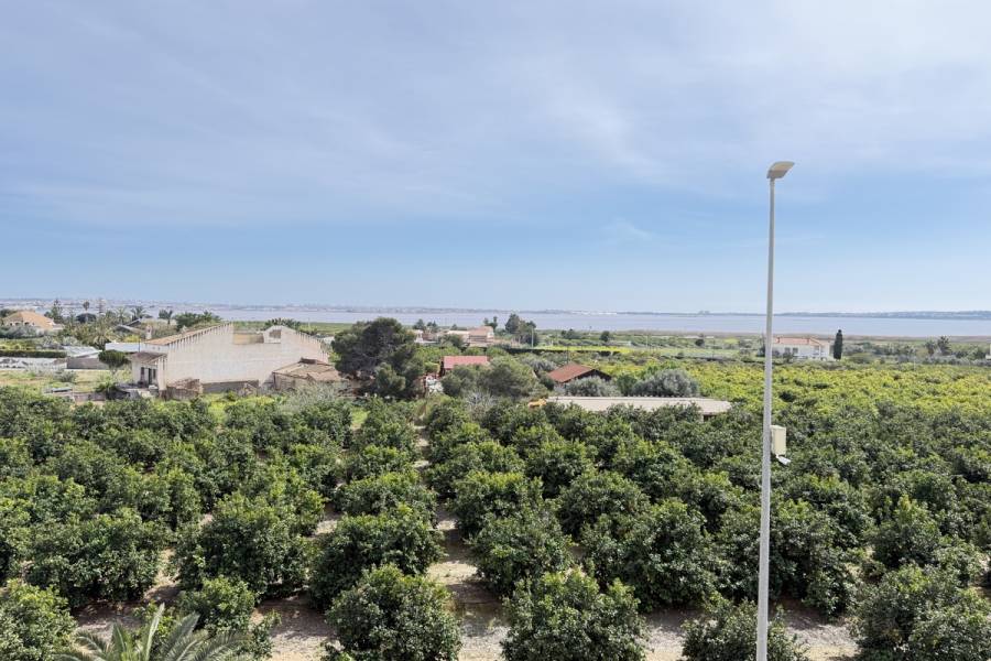 Resale - Apartment - Los Montesinos