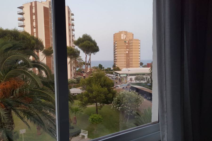 Bestaande bouw - Studio Apartment - Orihuela Costa - Campoamor