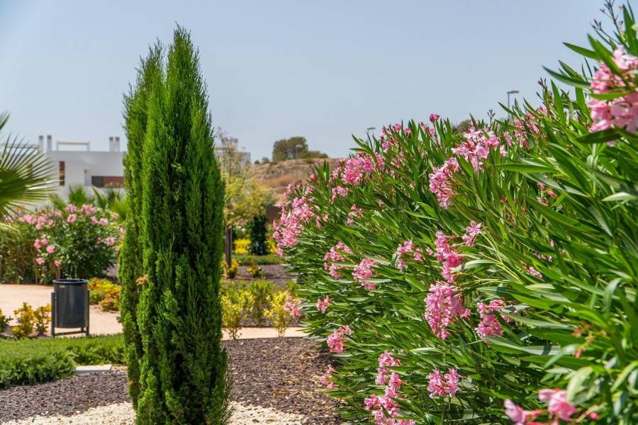 Nieuwbouw - Appartement - Orihuela - Vistabella Golf