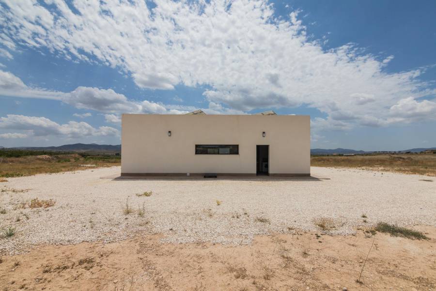 Nueva construcción  - Chalet - Pinoso - Campo