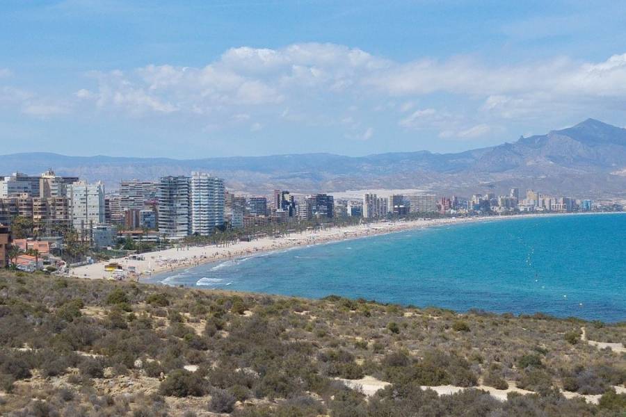 New Build - Apartment - San Juan de Alicante - Franc Espinós