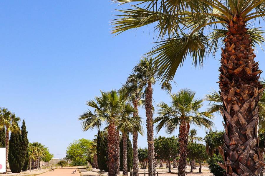 Nieuwbouw - Detached - San Fulgencio - La Escuera