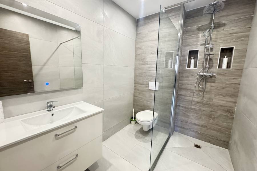 Resale - Detached - San Miguel de Salinas