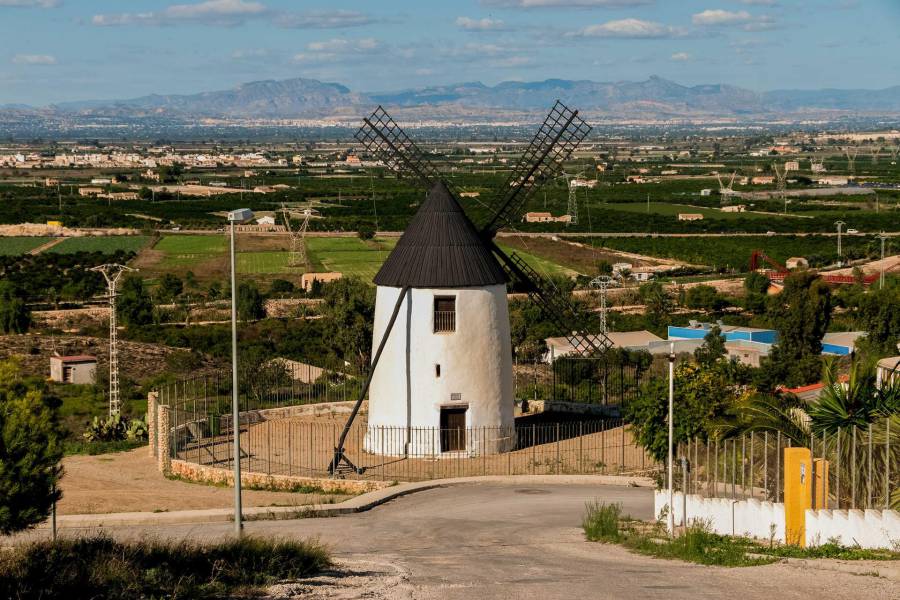 Nieuwbouw - Detached - Rojales - Ciudad Quesada