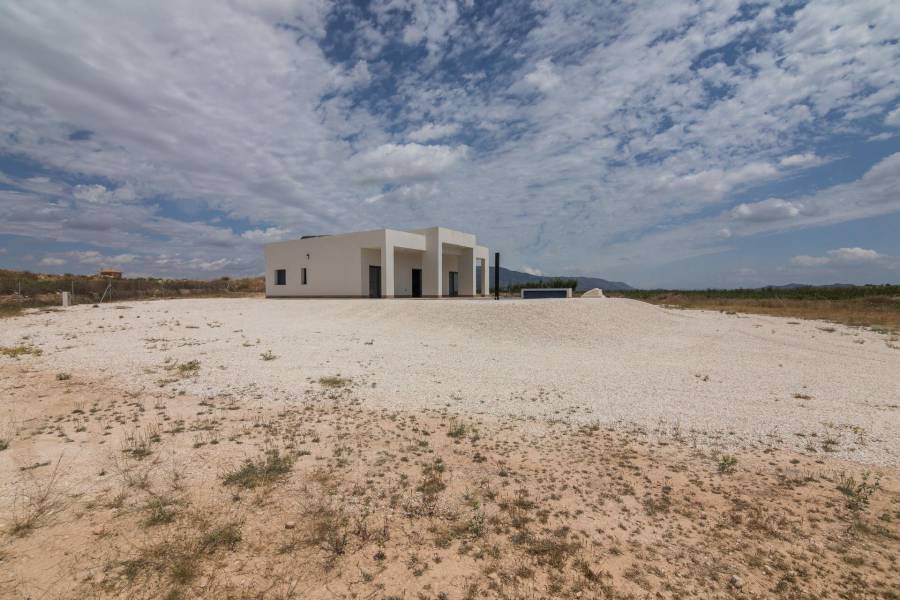 Nueva construcción  - Chalet - Pinoso - Campo