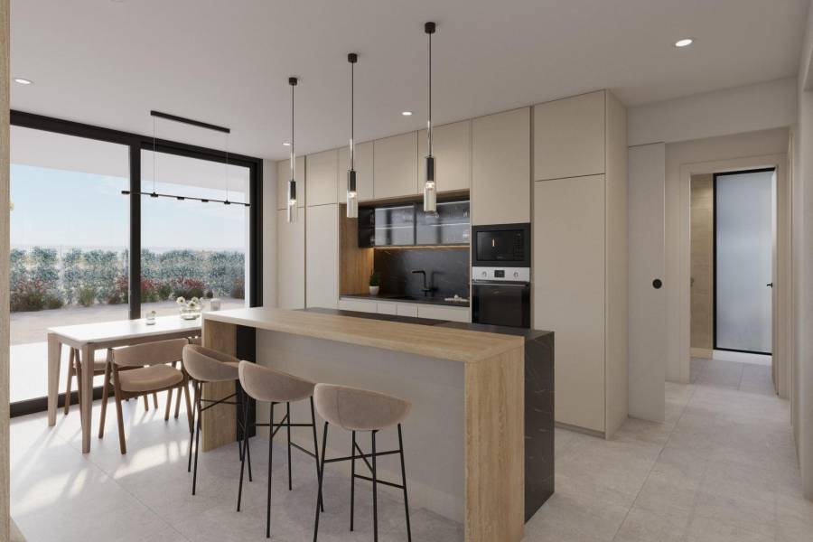 New Build - Detached - Fuente Álamo - Hacienda del Alamo