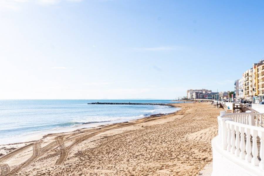 Nieuwbouw - Detached - Torrevieja - Lago Jardín II