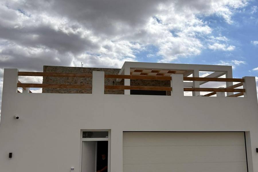 Nueva construcción  - Chalet - Pinoso - Casas Pastor