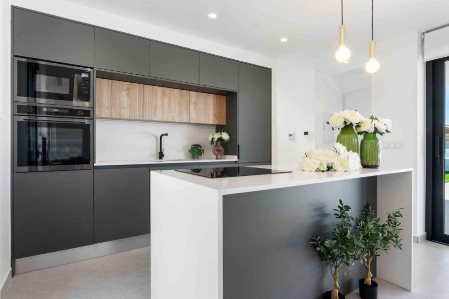 Nieuwbouw - Detached - Rojales - Benimar