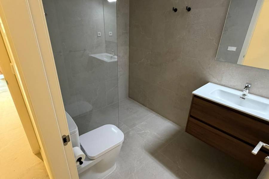 New Build - Detached - Pilar de la Horadada - pueblo