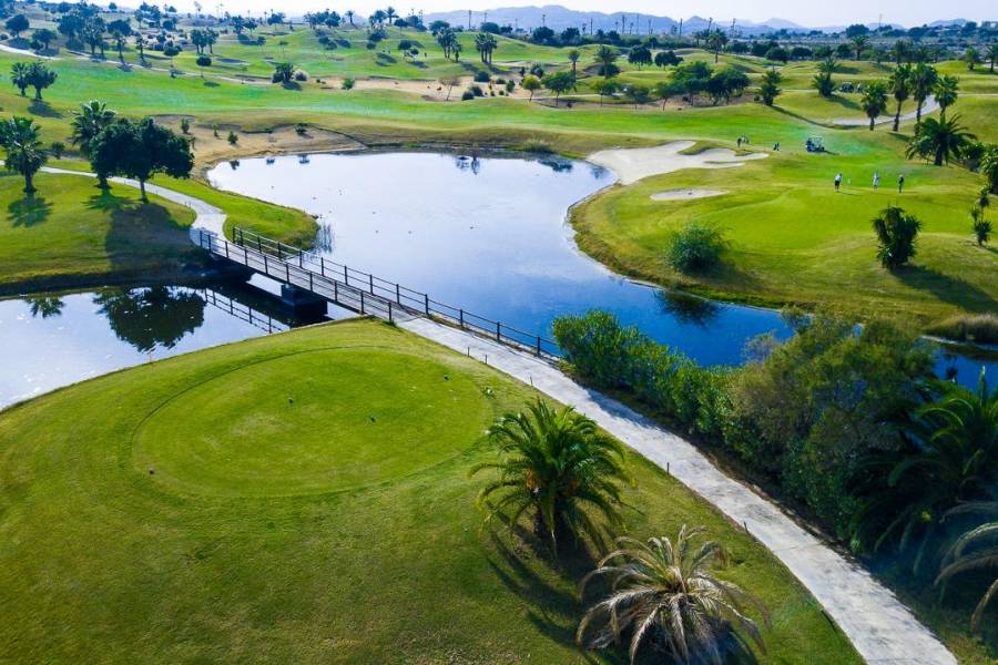 Nieuwbouw - Detached - Orihuela - Vistabella Golf