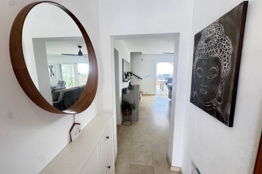 Resale - Detached - San Miguel de Salinas