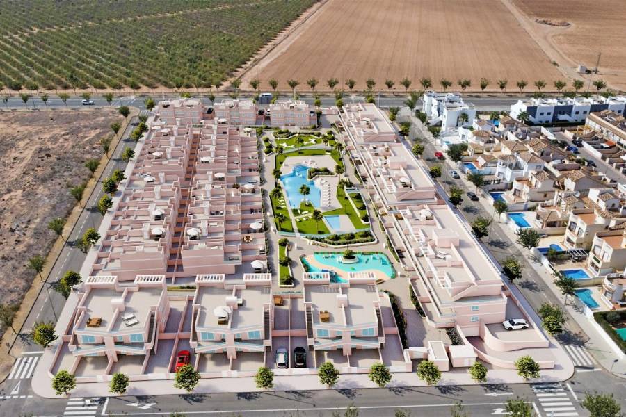 Nueva construcción  - Adosado - Pilar de la Horadada - Lo Monte