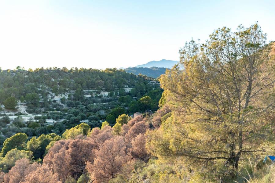 Nieuwbouw - Appartement - Finestrat - Balcón de Finestrat