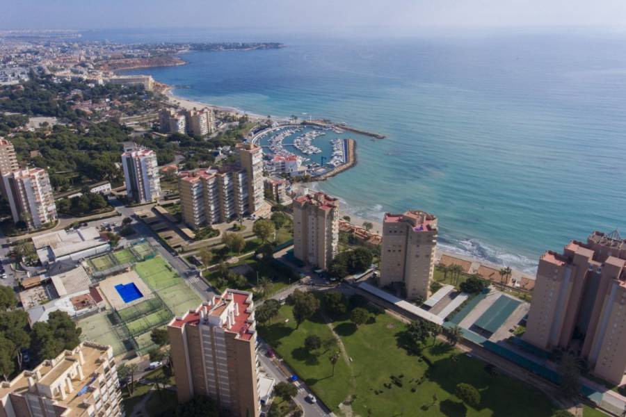 Nueva construcción  - Atico - Orihuela Costa - Campoamor