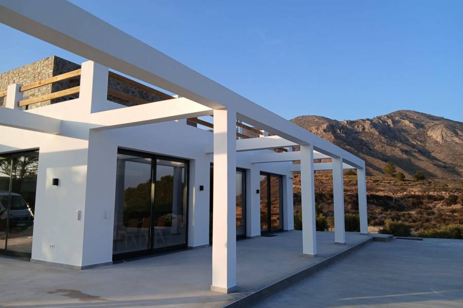 Nueva construcción  - Chalet - Pinoso - Casas Pastor