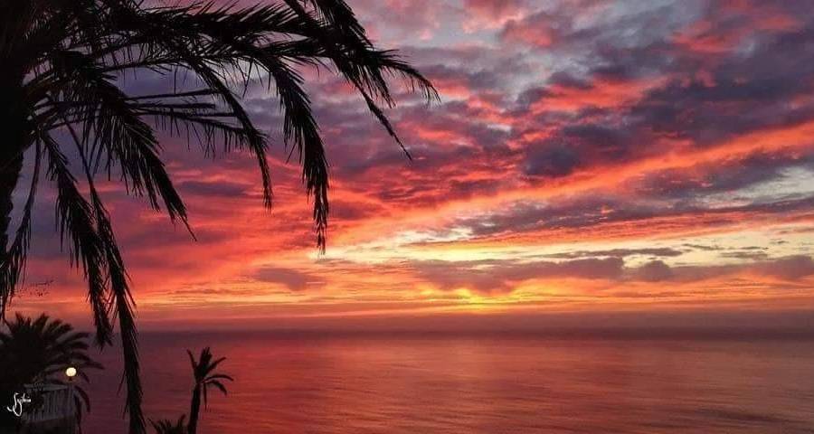 Nueva construcción  - Apartamento - Torrevieja - Altos del Sol