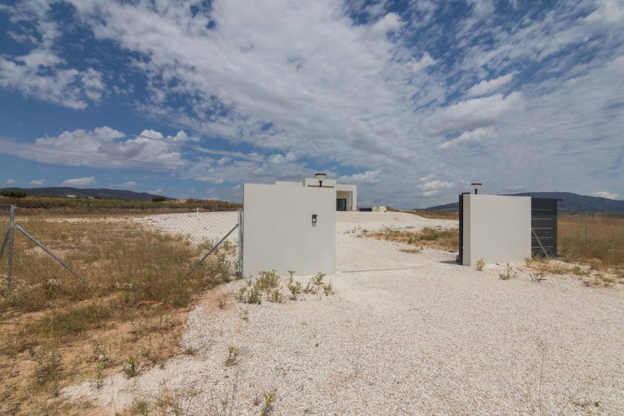 Nueva construcción  - Chalet - Pinoso - Campo