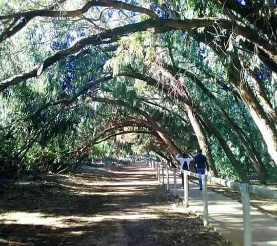 Nueva construcción  - Apartamento - Torrevieja - Altos del Sol