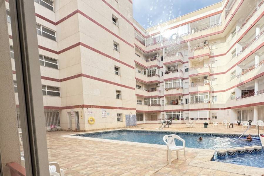 Reventa - Apartamento - Torrevieja