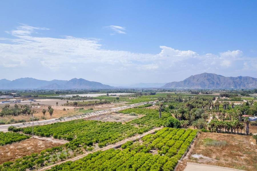 Nueva construcción  - Atico - Jacarilla - pueblo