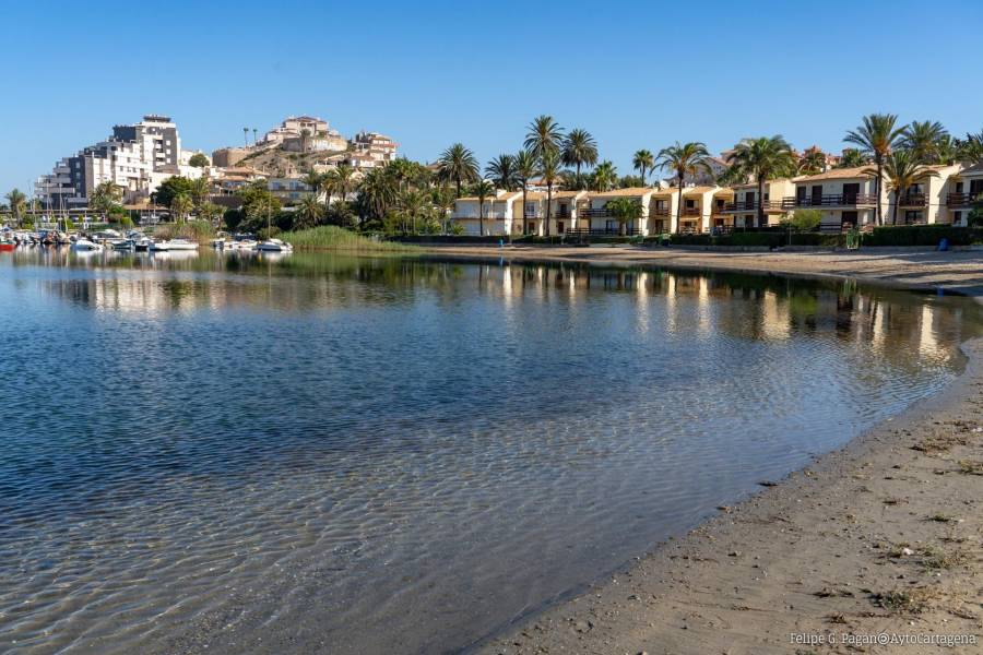 Nueva construcción  - Apartamento - La Manga del Mar Menor - La Manga Club