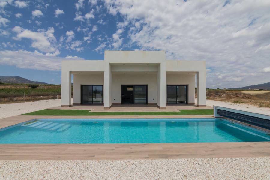 New Build - Detached - Pinoso - Campo