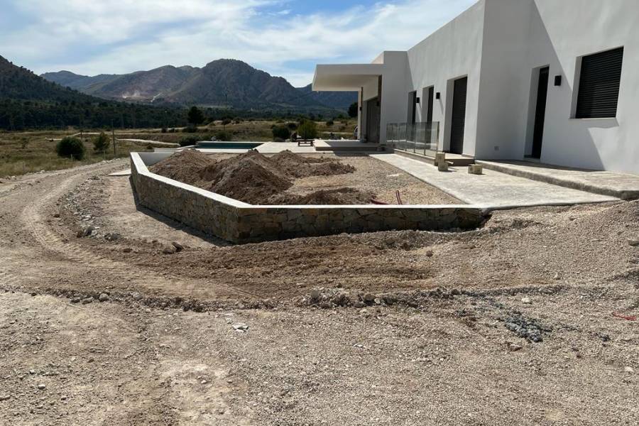 Nueva construcción  - Chalet - Pinoso - Casas Pastor