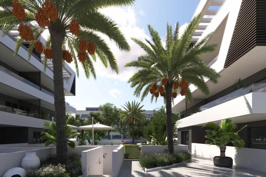 New Build - Penthouse - San Juan de Alicante - Frank Espinós