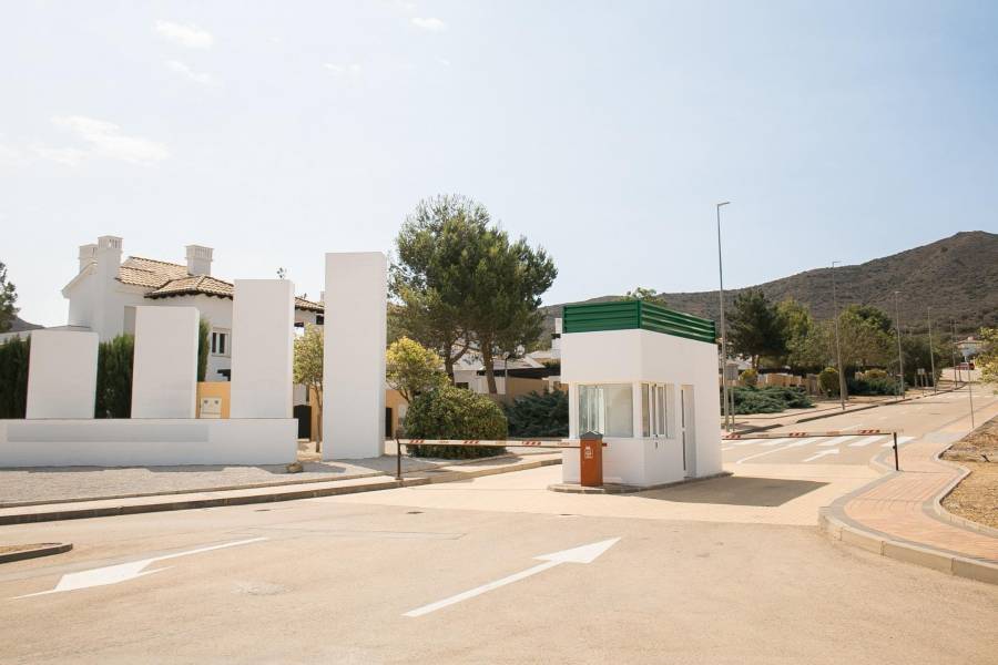 Nieuwbouw - Detached - Fuente Álamo - Las Palas