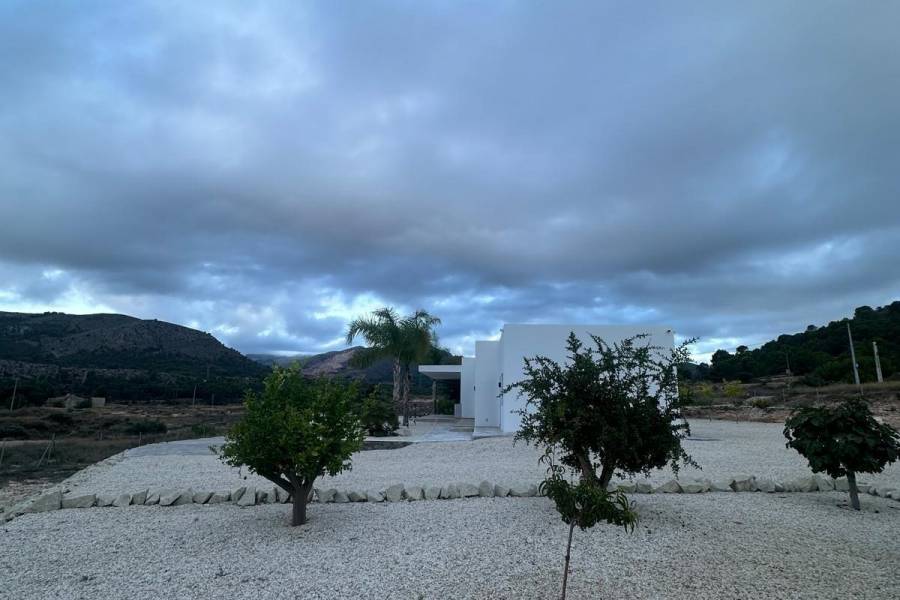 Nueva construcción  - Chalet - Pinoso - Casas Pastor