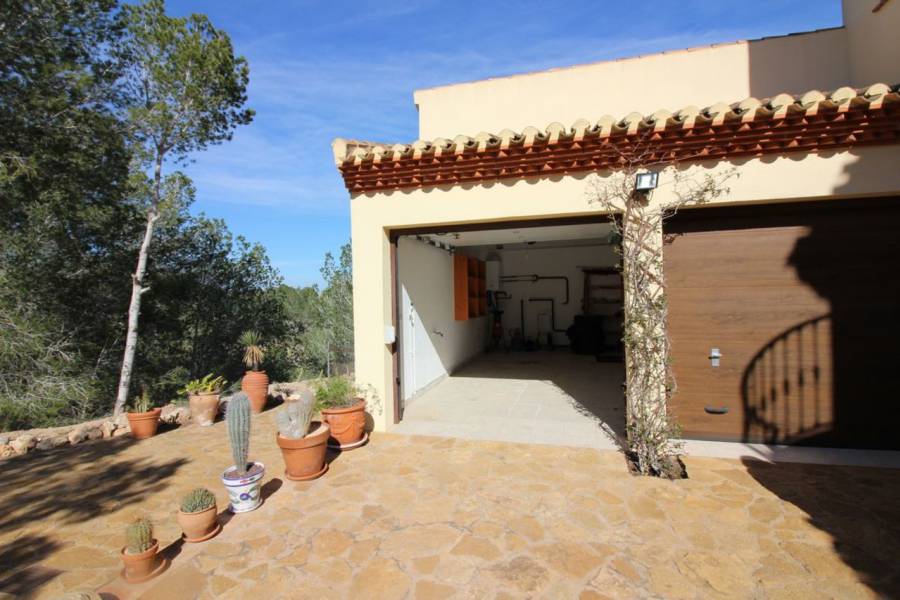 Resale - Detached - San Miguel de Salinas