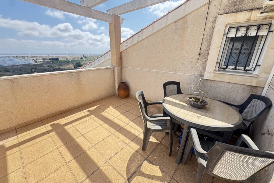 Resale - Detached - San Miguel de Salinas