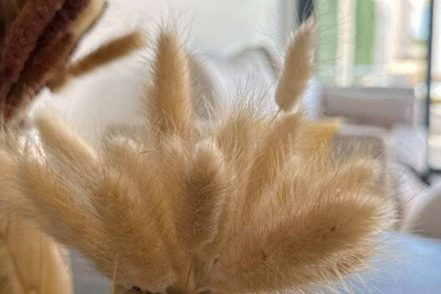 Nueva construcción  - Apartamento - San Fulgencio - Pueblo