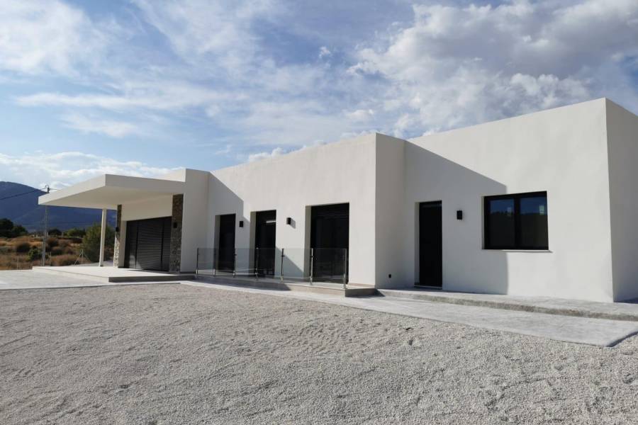 Nueva construcción  - Chalet - Pinoso - Casas Pastor
