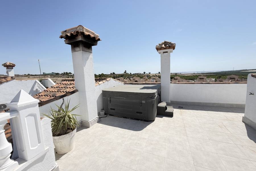 Resale - Detached - San Miguel de Salinas