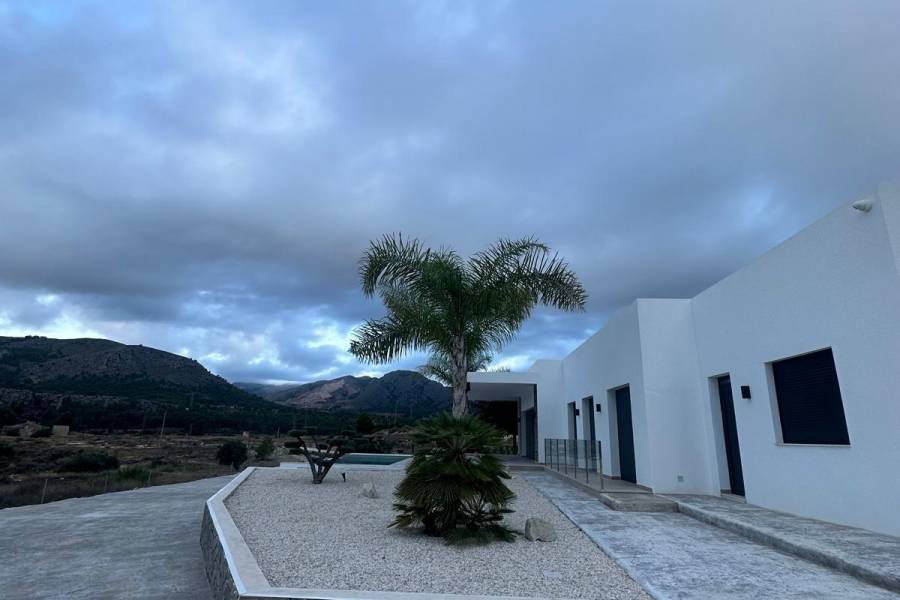 Nueva construcción  - Chalet - Pinoso - Casas Pastor